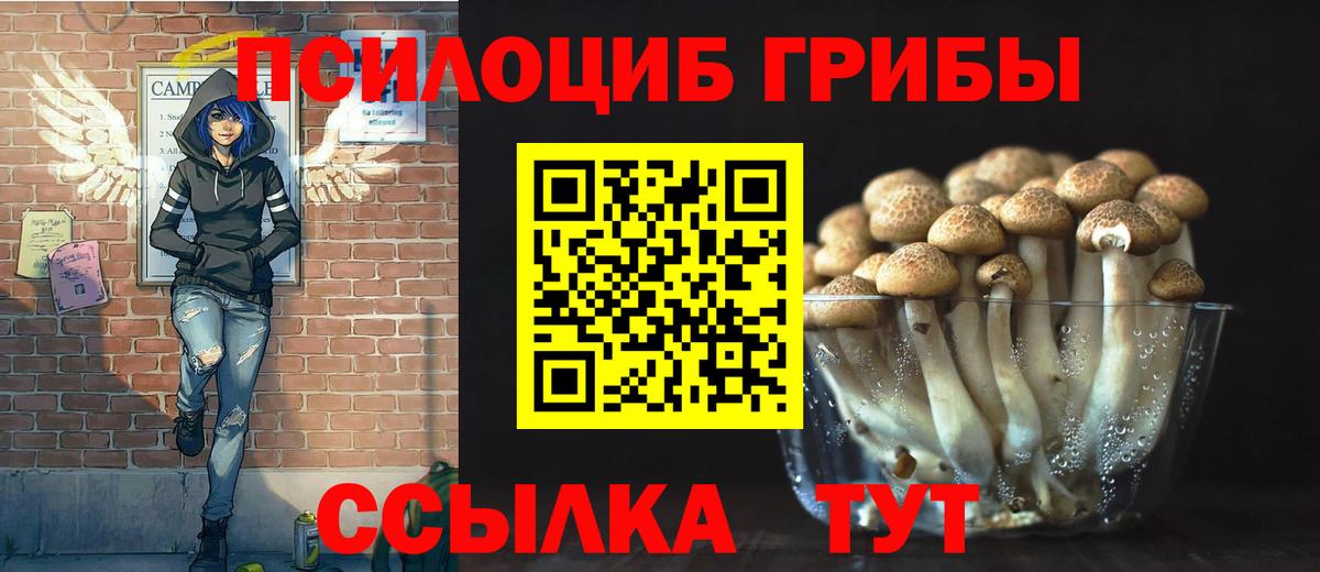 Псилоцибиновые грибы прущие грибы Элиста
