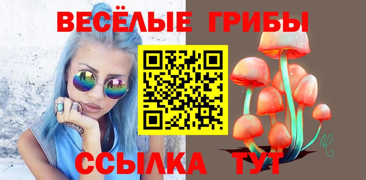 Элиста  Псилоцибиновые грибы ЛСД  продажа наркотиков  Вход с VPN 